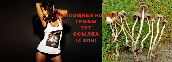 прущие крисы Богородицк
